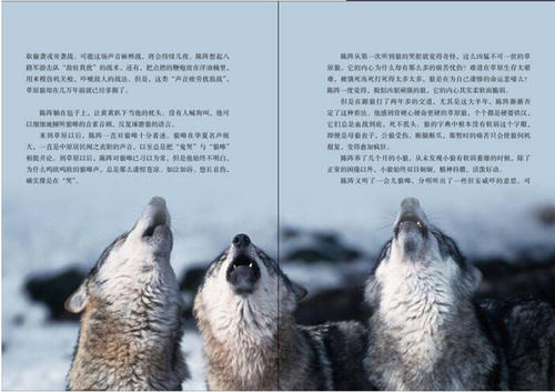 狼图腾经典片段