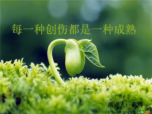 人生感悟：每一种创伤都是一种成熟