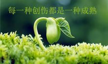 人生感悟:每一种创伤,都是一种成熟