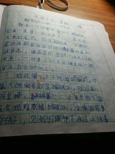 初中组成：母亲