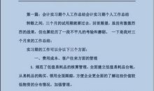 财务见习期工作小结