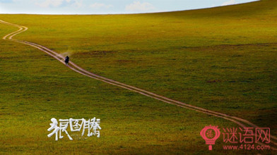 看完狼图腾700字