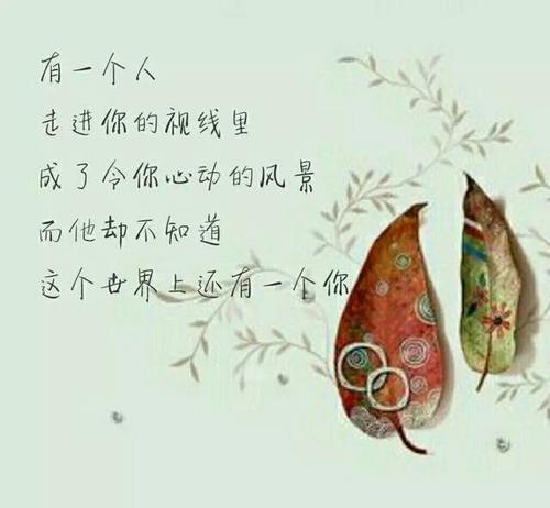赞美爱情的句子