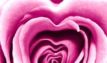 意喻深远的优美句子