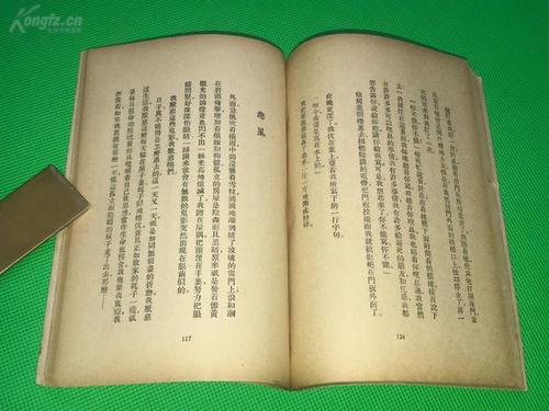 莉妮：鹰之歌