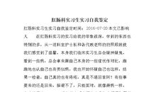 实习自我鉴定100字