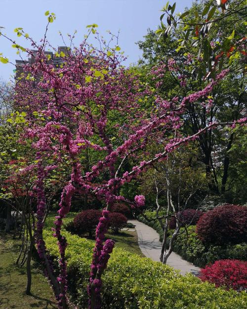 茅盾：其他乡村风光