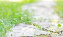 雷抒雁：生死之间