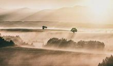 夜下征虏亭的诗意