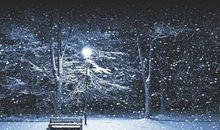 一生中落的雪,我们不能全部看见