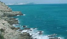 生命终将静默安然读后感