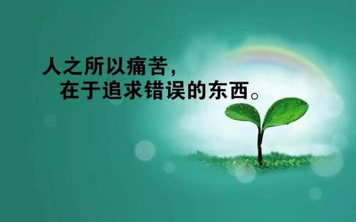 鼓舞人心的故事：被嘲笑35年后