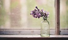 雪小禅：喜气安稳