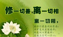 让人心静的语句