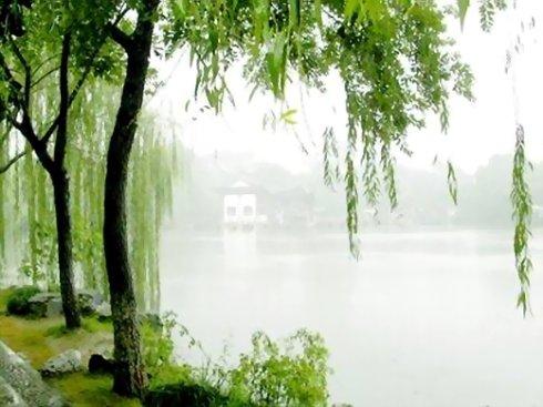 柳枝诗