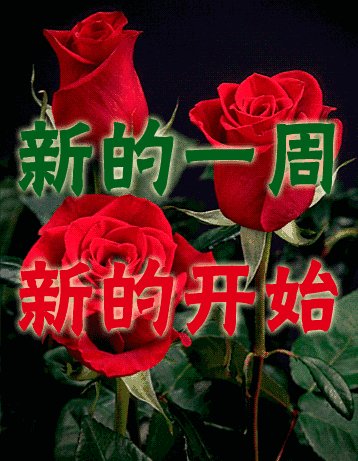 周一问候短信