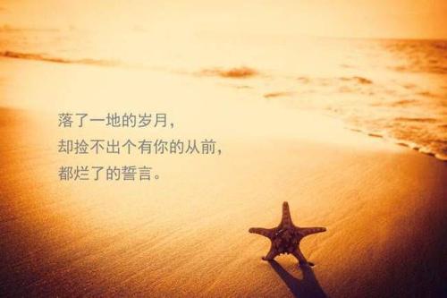 有多少人爱你