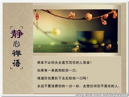 镇静禅