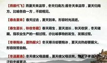 描写夏天的好词好段