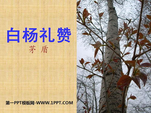 茅盾：赞美白杨树