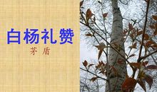 茅盾：白杨礼赞