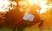 意见是人生路上的真经