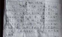 高中作文：记振东侨乡