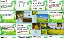 宿新市徐公店的诗意