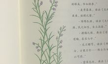 诗经描写女子的句子