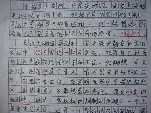 关于阅读《生活会安静与和平》的思考