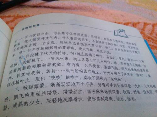 一句话描述秋天