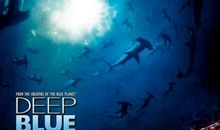 《深蓝的故事》读后感