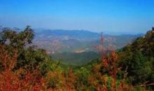 终南别业的诗意