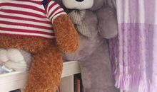 描写玩具熊的句子