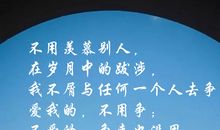 倾一生，做一事