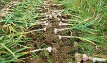 总有一片土地适合自己生长