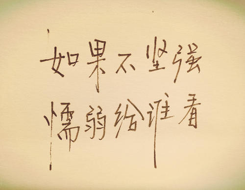 较强的语言