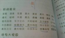 关于友谊的好词好句好段