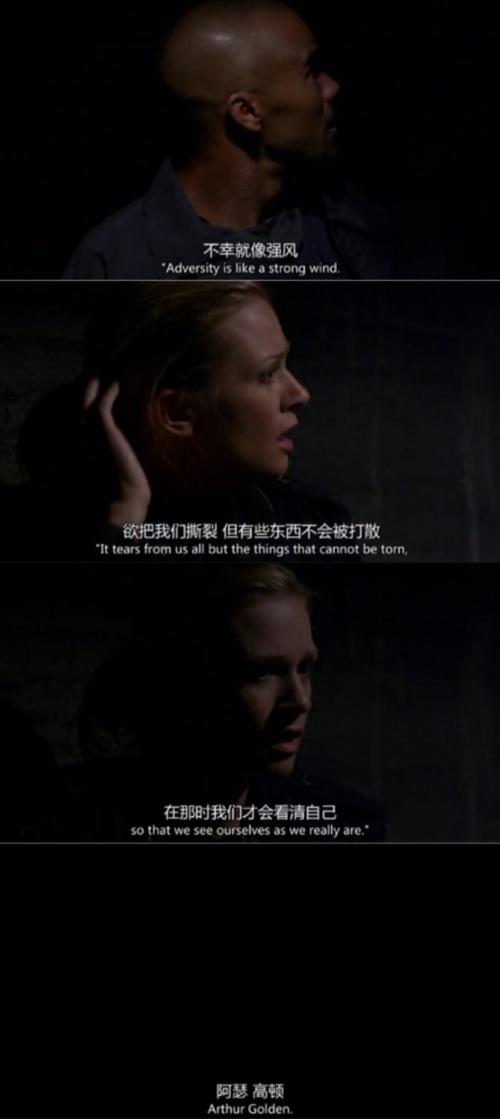 犯罪心理第7季行情