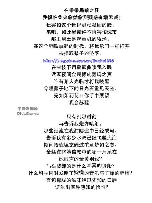 我的信念
