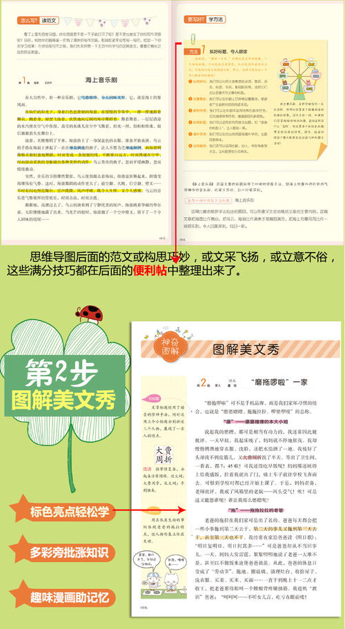 小学生写好单词和句子