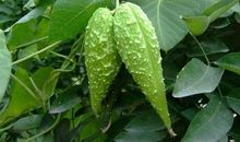 别被一棵草绊倒