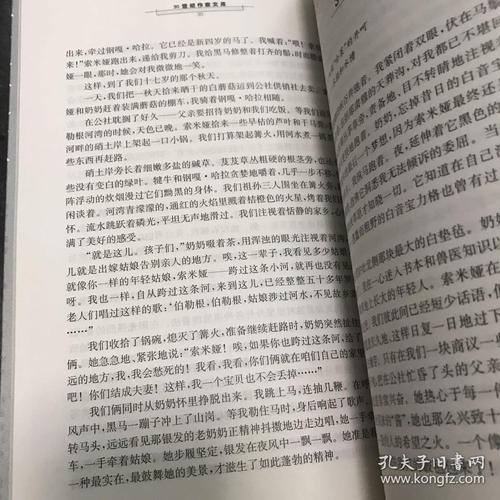 张承志：大班