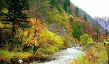 福生于少事，祸起于多心