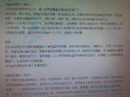 初中300字美国文摘