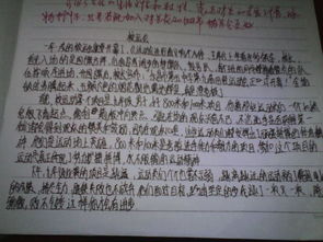 小学周刊300字