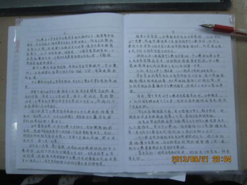 800字美国文摘