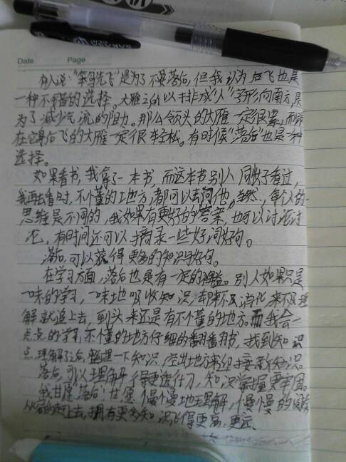 每周日记500字