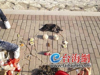 鼻子点击300万次