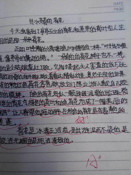 每周450个单词